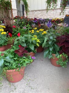 Mom’s Patio planter